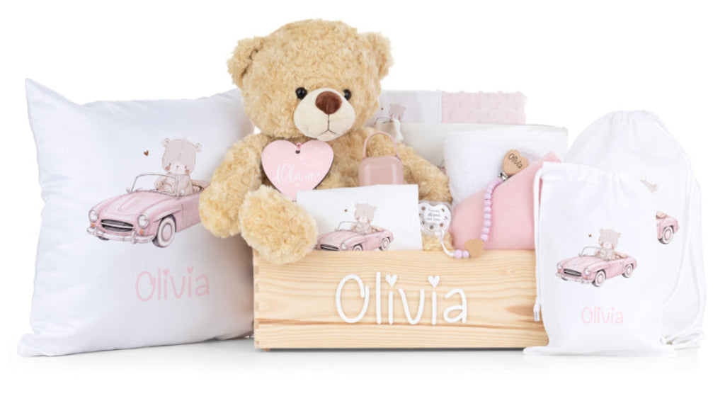 Canastilla-empresa-shopify-4-automocion-rosa_b8d7e30e-ca64-4c7e-adb2-146ad50362fa.jpg