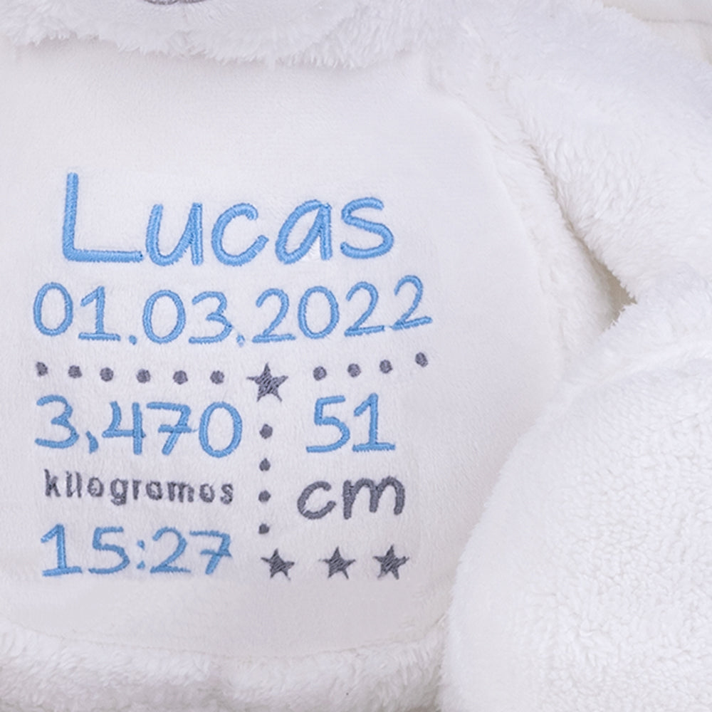 peluche-personalizado-oso-angelito-natalicio-detalle.jpg