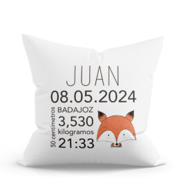 COJÍN PERSONALIZADO NATALICIO ZORRITO RAYITAS