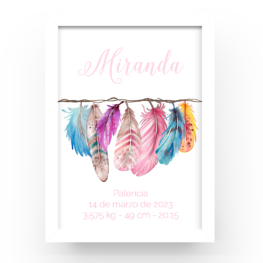 Cuadro personalizado natalicio Plumas