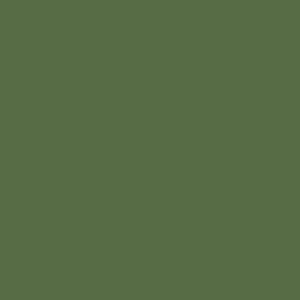 VERDE KAKI